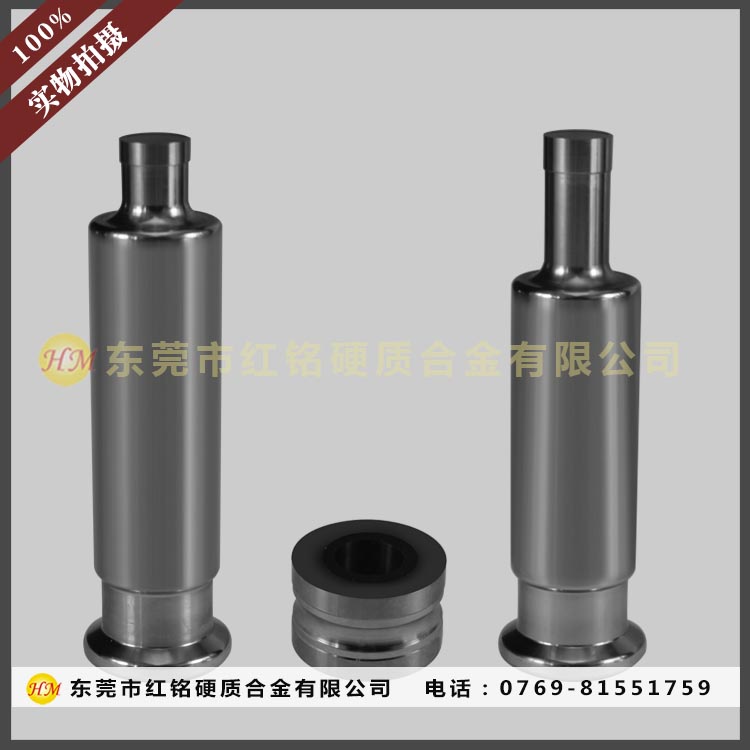 �մɉ�Ƭģ��